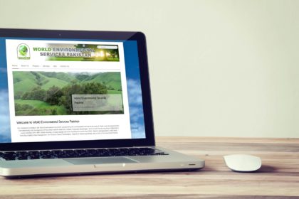 World Environmental Services